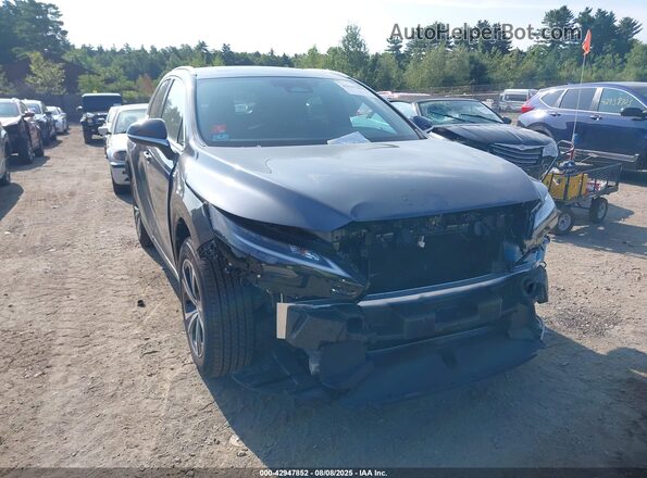 2T2BAMCA1SC105376 2025 LEXUS RX Gray Вид задньої частини салону