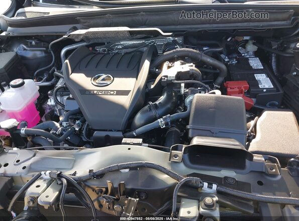 2T2BAMCA1SC105376 2025 LEXUS RX Gray Вид ззаду