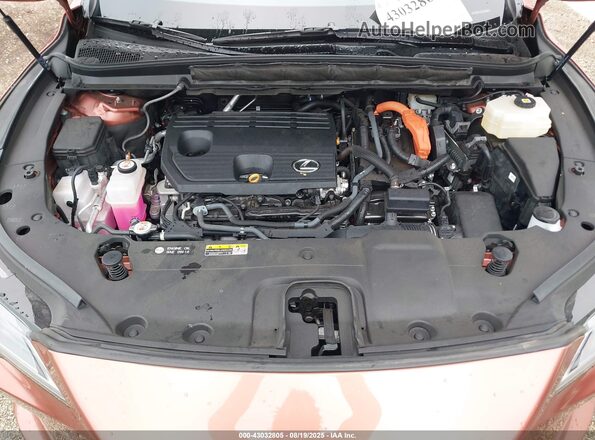 2T2BBMCAXPC005183 2023 LEXUS RX Orange Widok z tyłu