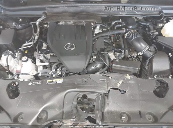 2T2BCMEA1RC020264 2024 LEXUS RX 500H Black უკანა ხედი