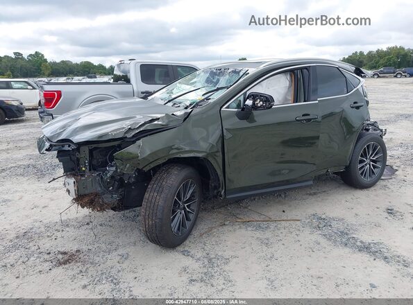 2T2GDCAZ0SC026216 2025 LEXUS NX 250 Green Առջևի ձախ երեք քառորդ տեսարան