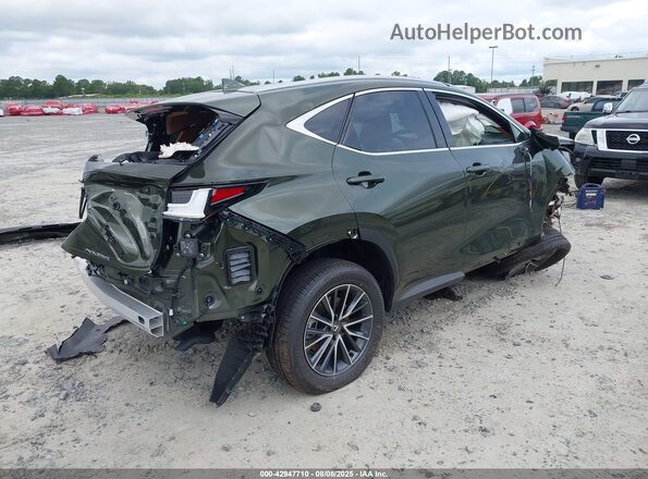 2T2GDCAZ0SC026216 2025 LEXUS NX 250 Green Հետևի աջ