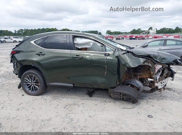 2T2GDCAZ0SC026216 2025 LEXUS NX 250 Green Սալոնի 360 աստիճան տեսք