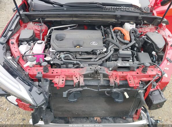 2T2HKCEZ2RC021629 2024 LEXUS NX 350H Red Հետևի տեսք