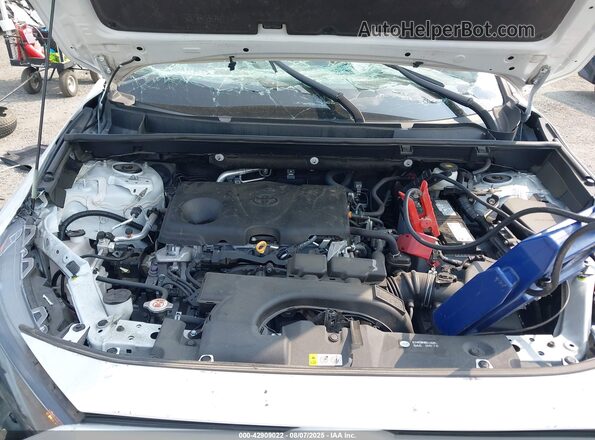 2T3F1RFV4MW216059 2021 TOYOTA LE White Հետևի տեսք