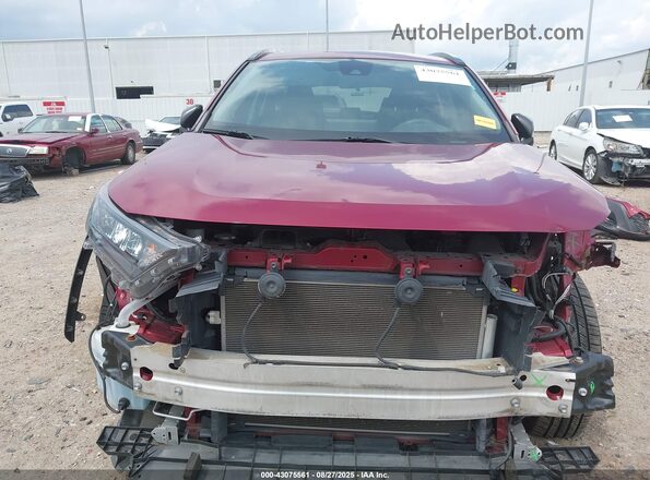 2T3H1RFV6LW090780 2020 TOYOTA LE Burgundy Սալոնի հետևի տեսք