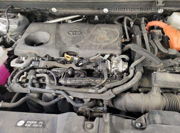 2T3RWRFV8PW172571 2023 TOYOTA LE  