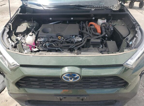 2T3UWRFV4RW188764 2024 TOYOTA RAV4 Green 