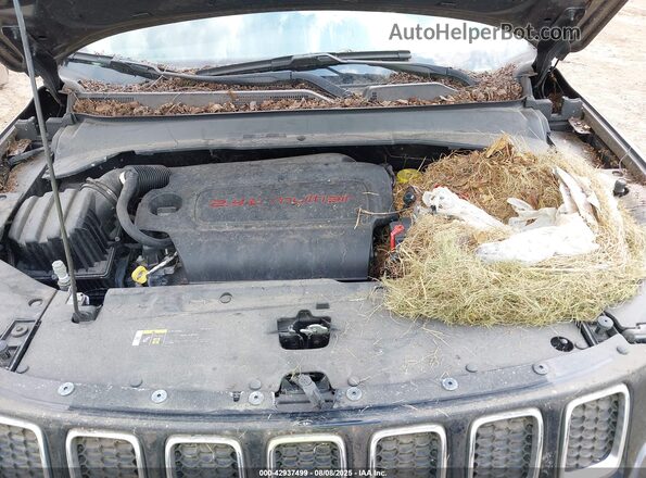 3C4NJDCB3MT529491 2021 JEEP COMPASS Gray Widok z tyłu