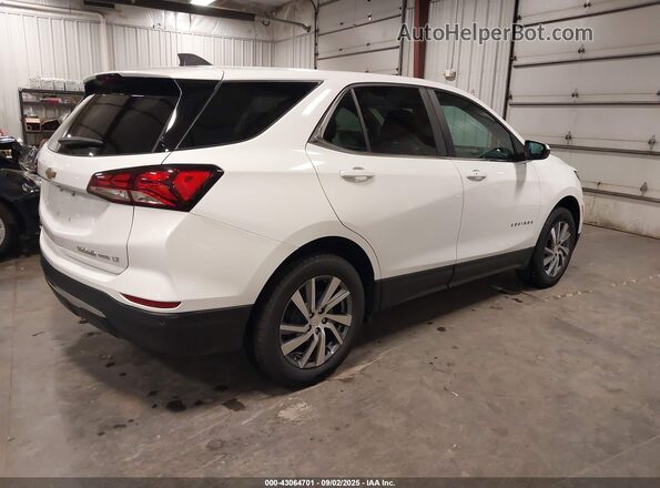 3GNAXUEG6PL115770 2023 CHEVROLET EQUINOX White Tył prawy