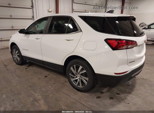 3GNAXUEG6PL115770 2023 CHEVROLET EQUINOX White Tył lewy