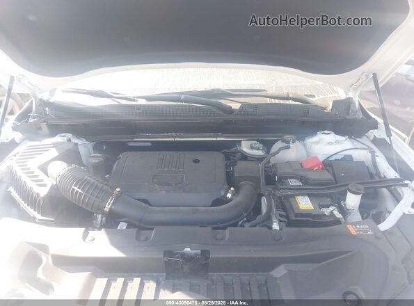 3GNKBCR45SS201681 2025 CHEVROLET BLAZER Белый Вид сзади