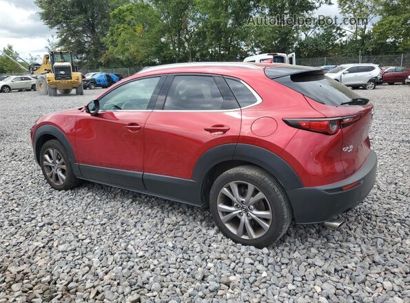 3MVDMBDM0MM219914 2021 MAZDA CX-30 Red Rear left