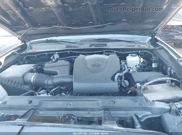 3TMCZ5AN8MM437774 2021 TOYOTA TACOMA Gray Widok z tyłu
