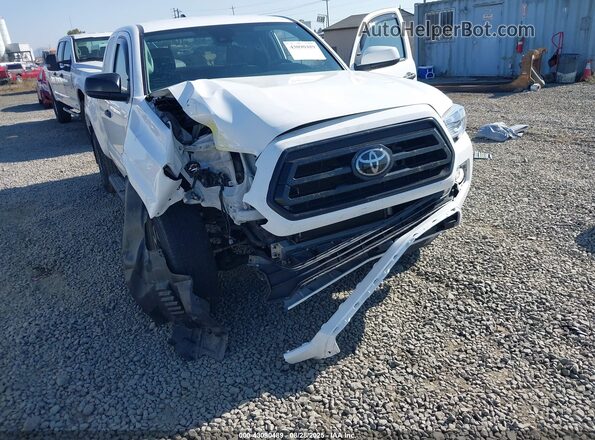 3TYSX5EN6MT006463 2021 TOYOTA TACOMA White წინა ხედი