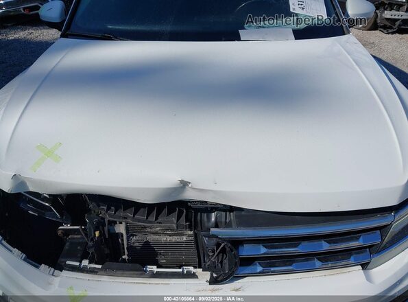 3VV4B7AX5LM147420 2020 VOLKSWAGEN TIGUAN White Вид ззаду