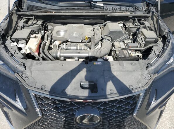 JTJSARBZ8M2182043 2021 LEXUS NX Black Widok naklejki z numerem VIN
