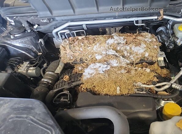 4S4WMAAD2P3404850 2023 SUBARU ASCENT  