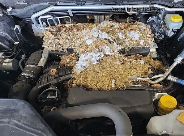 4S4WMAAD2P3404850 2023 SUBARU ASCENT  