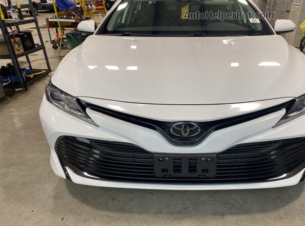 4T1C11AK9LU385809 2020 TOYOTA LE  