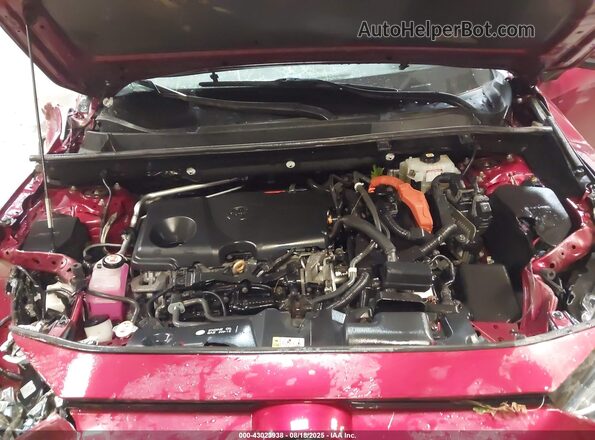 4T3D6RFV2LU005286 2020 TOYOTA LIMITED Red უკანა ხედი