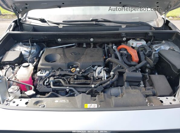 4T3E6RFV4MU037274 2021 TOYOTA RAV4 HYBRID Silver Widok z tyłu