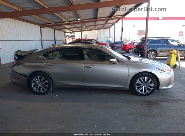 58ACA1C11MU011838 2021 LEXUS ES 300H Серый Вид задней части салона