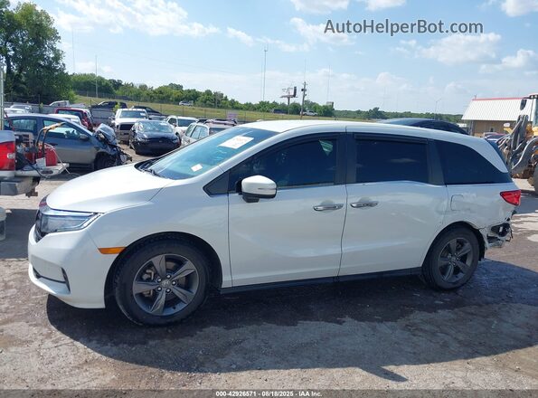 5FNRL6H50MB014084 2021 HONDA ODYSSEY White 