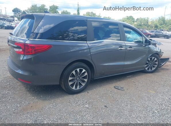 5FNRL6H68RB075246 2024 HONDA ODYSSEY  