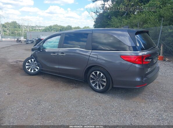 5FNRL6H68RB075246 2024 HONDA ODYSSEY  
