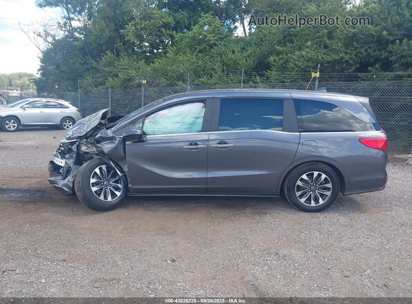 5FNRL6H68RB075246 2024 HONDA ODYSSEY  