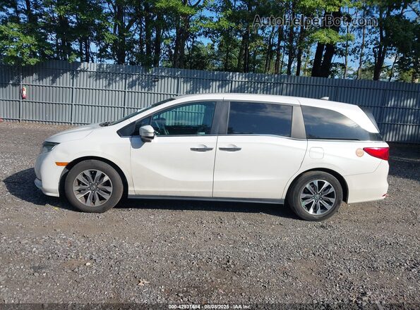 5FNRL6H74MB033125 2021 HONDA ODYSSEY White Սալոնի 360 աստիճան տեսք