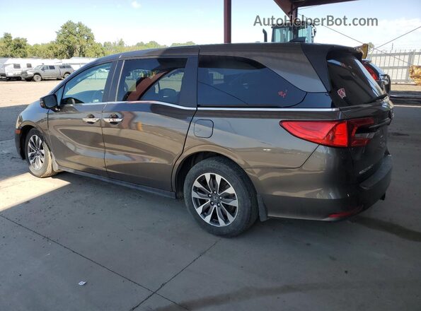 5FNRL6H76NB008311 2022 HONDA ODYSSEY Tan Задня ліва чверть