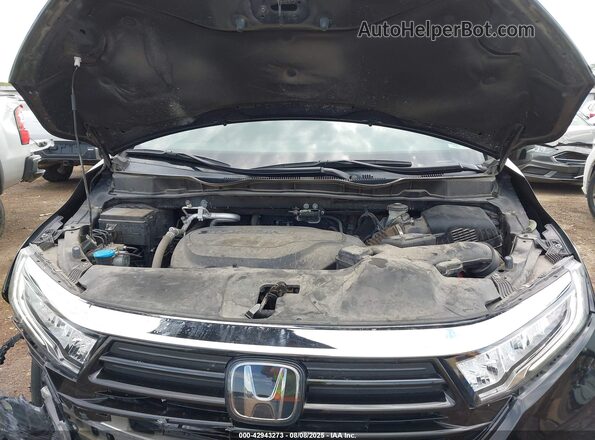 5FNRL6H89MB035803 2021 HONDA ODYSSEY Черный Вид сзади
