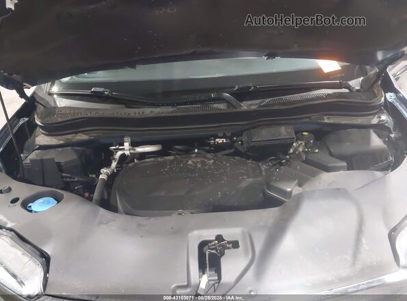 5FNYF6H57MB097886 2021 HONDA PILOT Blue Հետևի տեսք