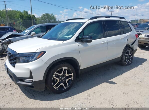 5FNYF8H01PB005336 2023 HONDA PASSPORT Белый 