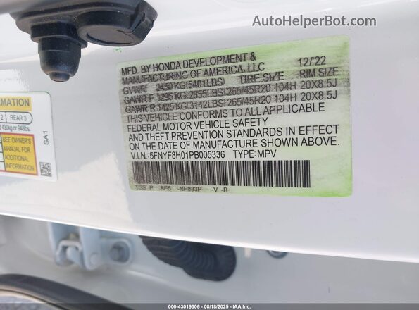 5FNYF8H01PB005336 2023 HONDA PASSPORT Белый 