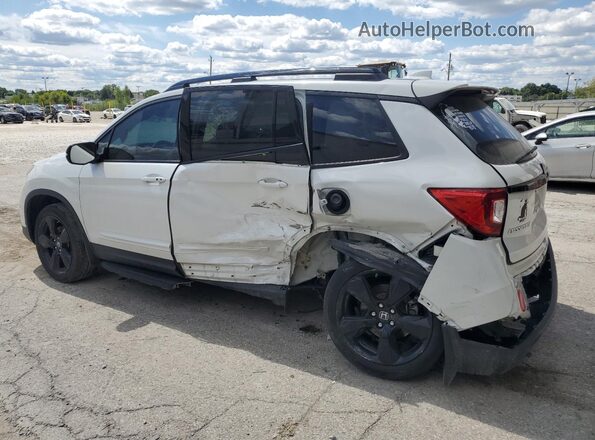 5FNYF8H08LB016859 2020 HONDA PASSPORT White უკანა მარცხენა