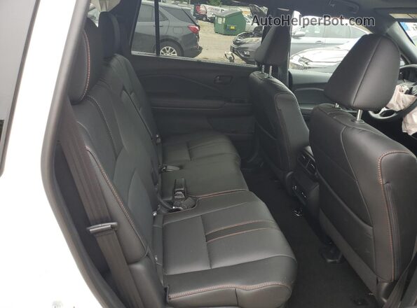 5FNYF8H66SB007774 2025 HONDA PASSPORT White 