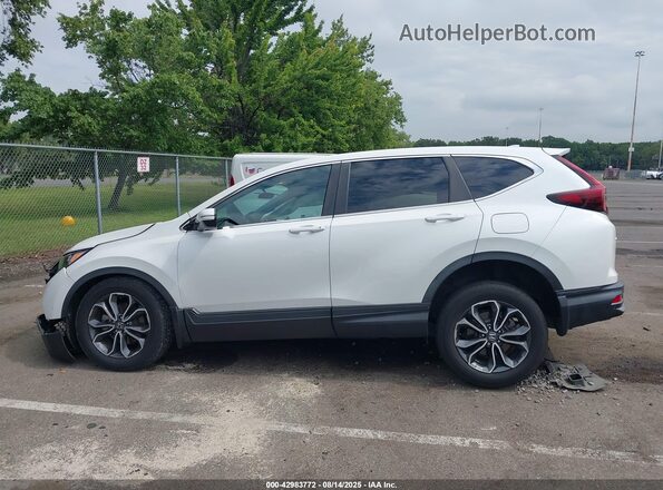 5J6RW2H54ML010790 2021 HONDA CR-V White სალონის 360-გრადუსიანი ხედი