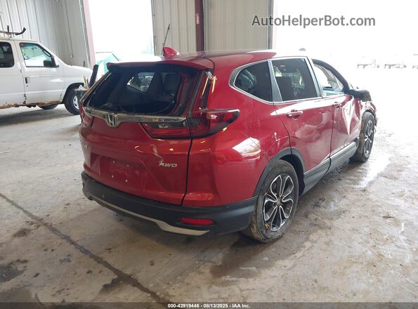 5J6RW2H8XML015941 2021 HONDA CR-V Red Tył prawy