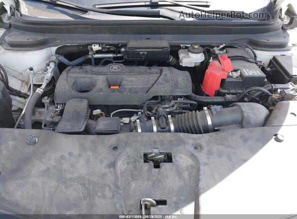 5J8TC2H64PL008198 2023 ACURA RDX White Rear view