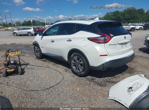 5N1CZ2MHXGN146896 2016 NISSAN MURANO HYBRID White უკანა მარცხენა