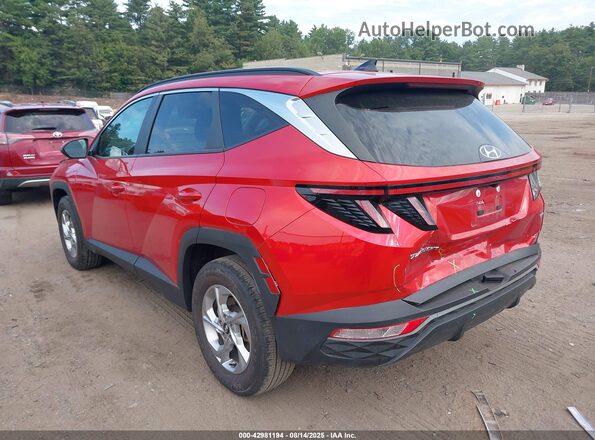 5NMJBCAE9PH194516 2023 HYUNDAI TUCSON Красный Панорамный вид салона 360°