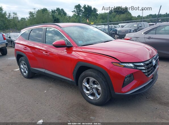 5NMJBCAE9PH194516 2023 HYUNDAI TUCSON Красный Вид задней части салона