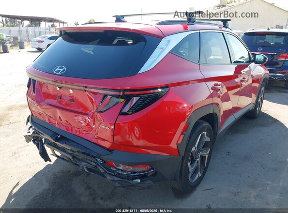 5NMJECAE3PH206568 2023 HYUNDAI TUCSON Red Tył prawy