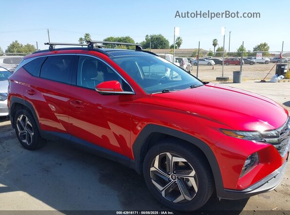 5NMJECAE3PH206568 2023 HYUNDAI TUCSON Red Widok wnętrza z tyłu