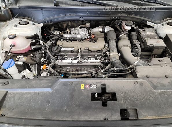 5NMP2DGL1RH005818 2024 HYUNDAI SANTA FE  