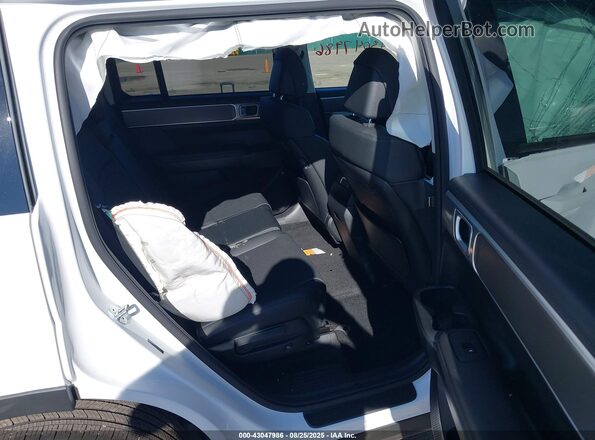 5NMP2DGL2SH117064 2025 HYUNDAI SANTA FE Белый Вид наклейки с VIN-кодом