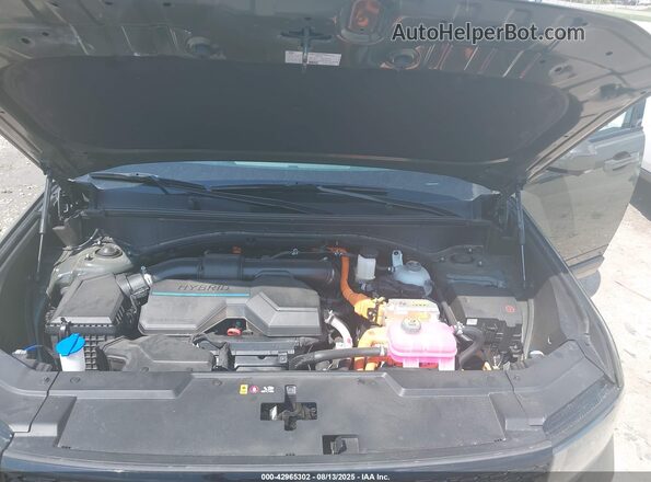 5NMP5DG19SH031725 2025 HYUNDAI SANTA FE Green Vista trasera